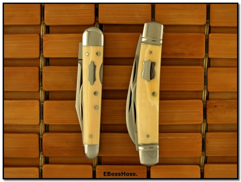Tony Bose Ivory