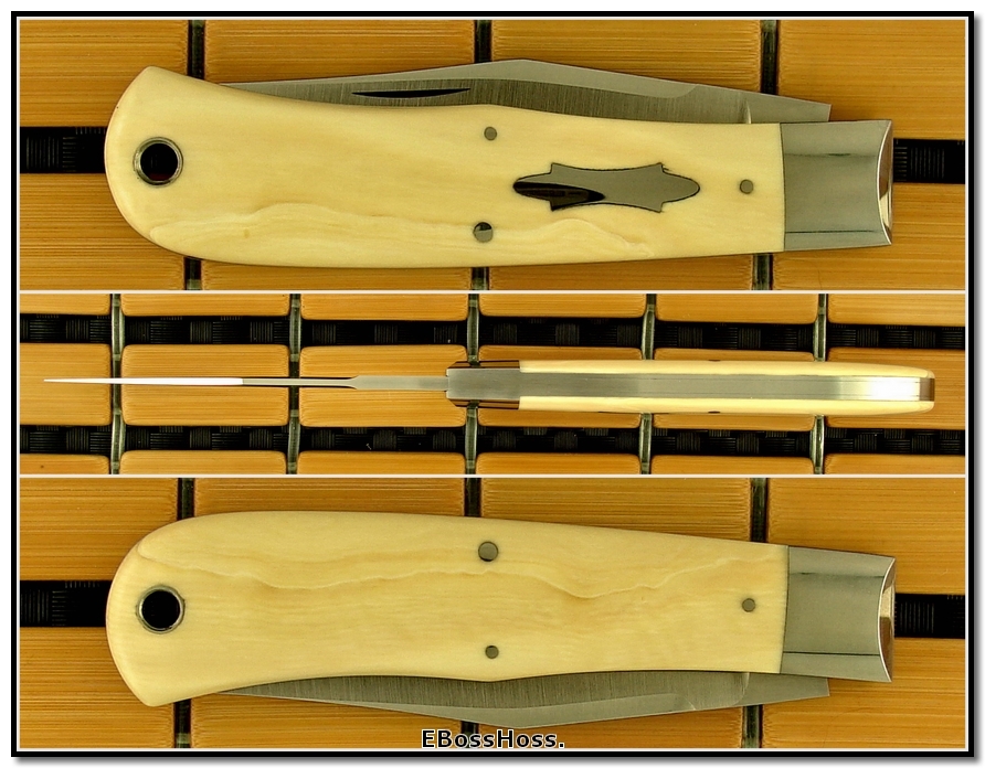 Tony Bose Ivory Backpocket