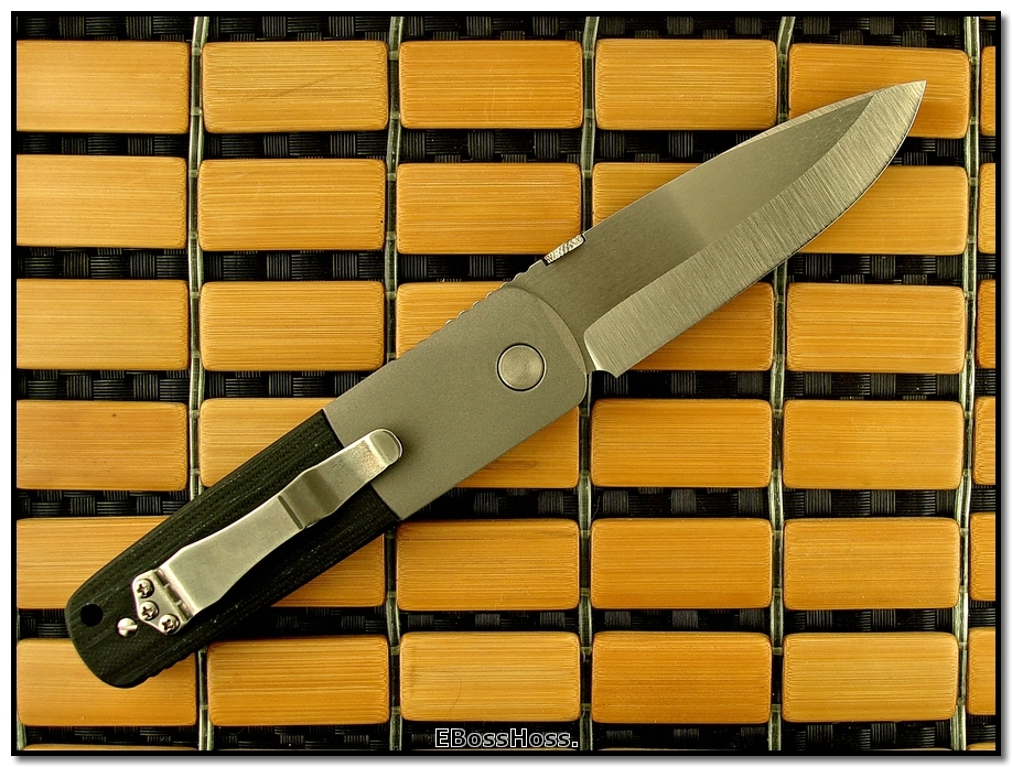 Ernie Emerson Super A-100 (aka Custom S-A100)