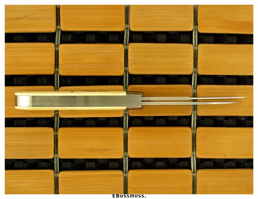 Reese Bose Half-Dollar Wharnie Trapper