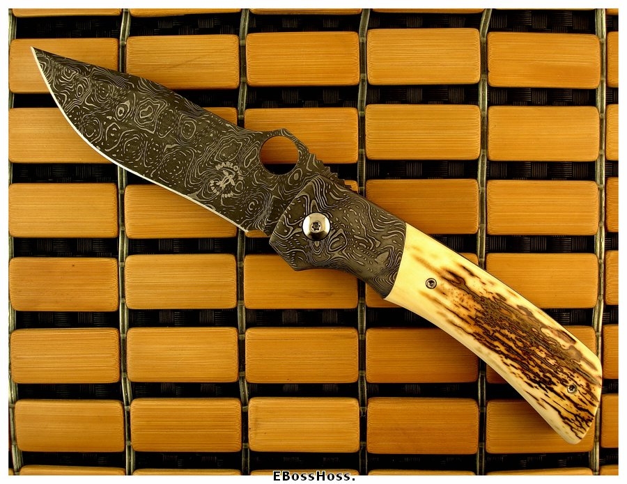 Charles Marlowe Deluxe Modified Squail
