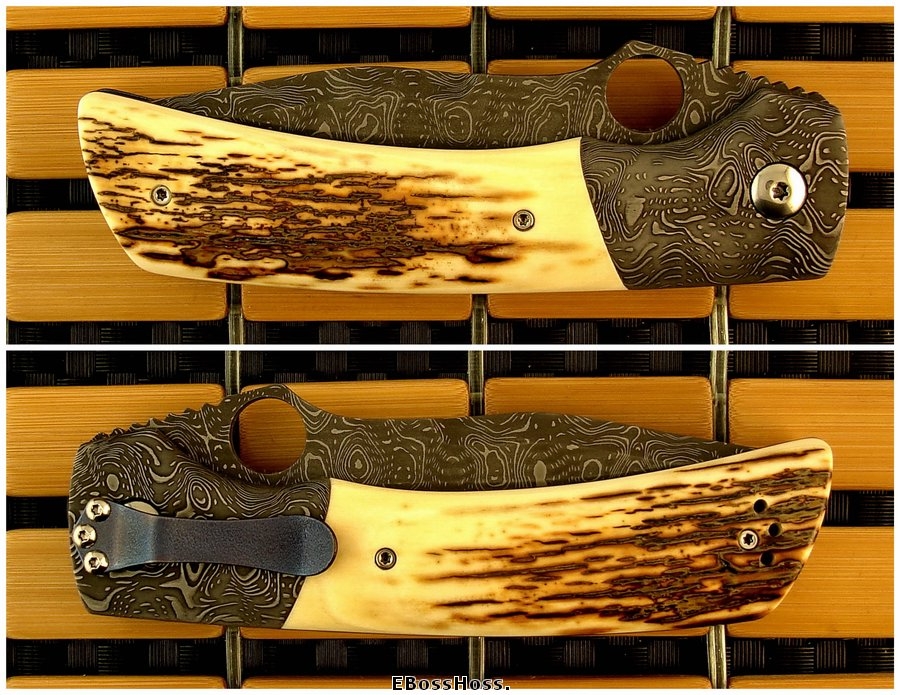 Charles Marlowe Deluxe Modified Squail