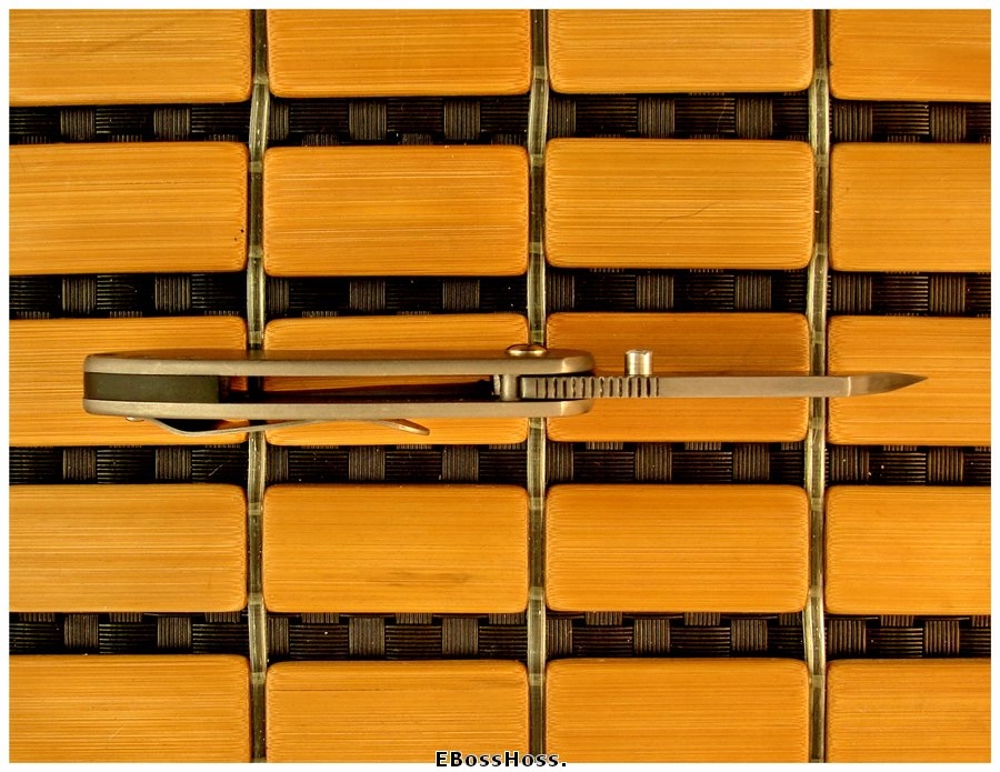 Michael Burch Mini Dao