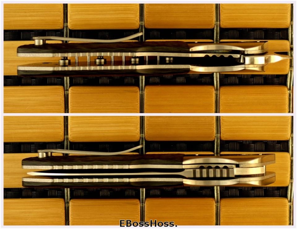 Allen Elishewitz / Liong Mah Force One Flipper