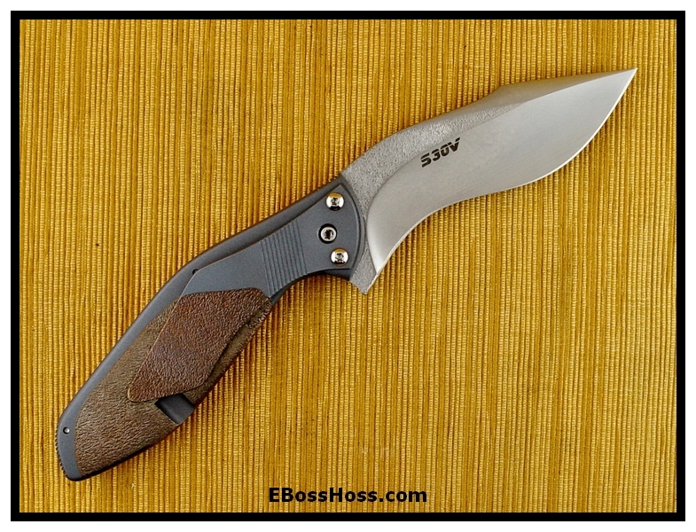 Tim Galyean Outbreak Flipper