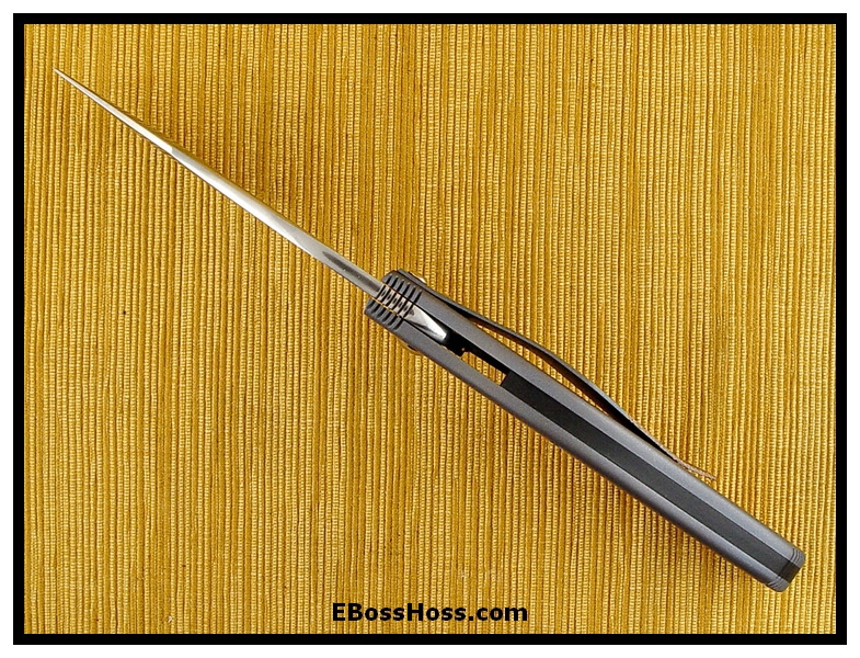 Tim Galyean Outbreak Flipper