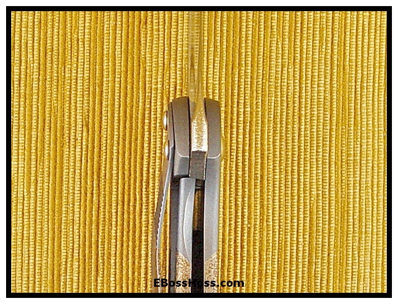Tim Galyean Outbreak Flipper