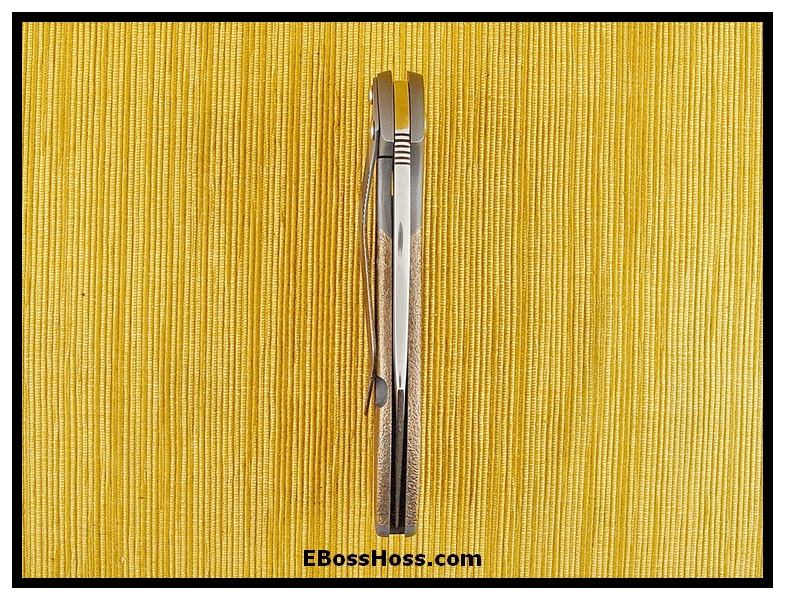 Tim Galyean Outbreak Flipper