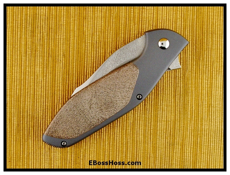 Tim Galyean Outbreak Flipper