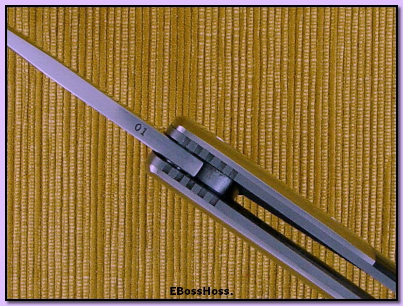 D.B. Fraley Deluxe XL Torrent