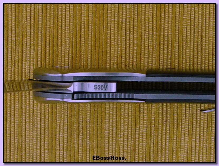D.B. Fraley Deluxe XL Torrent