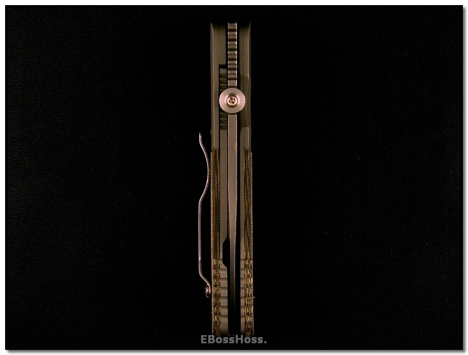 Ernie Emerson A-100 Custom
