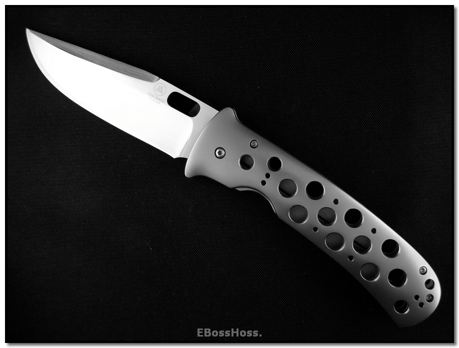 Tom Mayo T-Rex Prototype