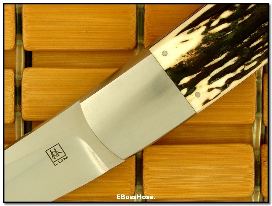 Bob Lum Fixed Tanto - Deluxe Stag
