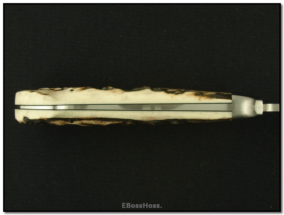 Bob Lum Deluxe Fixed Hunter - Stag & Unetched Damasteel