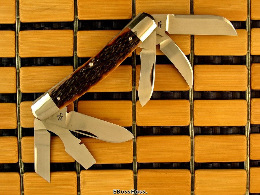 Tony Bose 6-Blade Congress Remington Bone