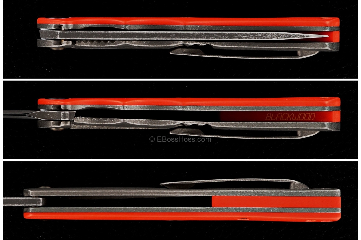 Neil Blackwood Custom Henchman Flipper
