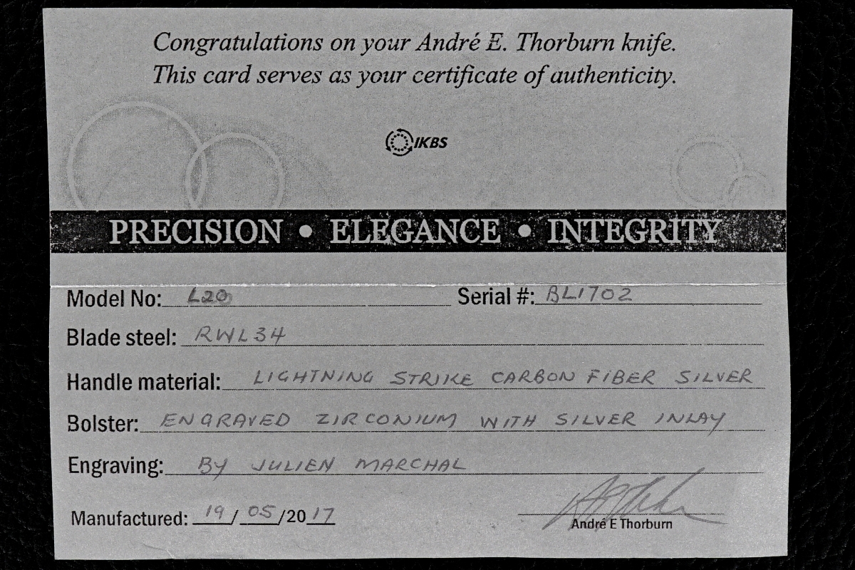 Andre Thorburn Custom Deluxe Engraved L20 Flipper