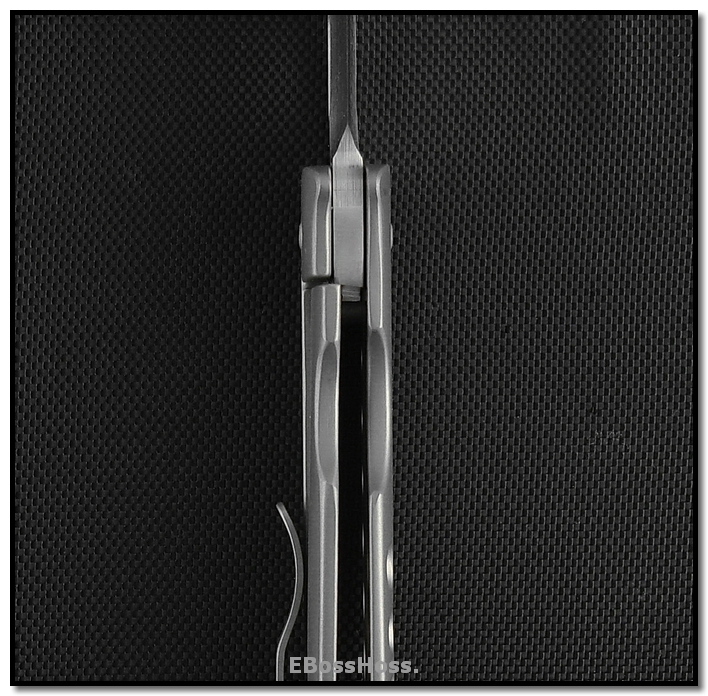 Tom Mayo Large Wharnie TNT-- 6K Blade