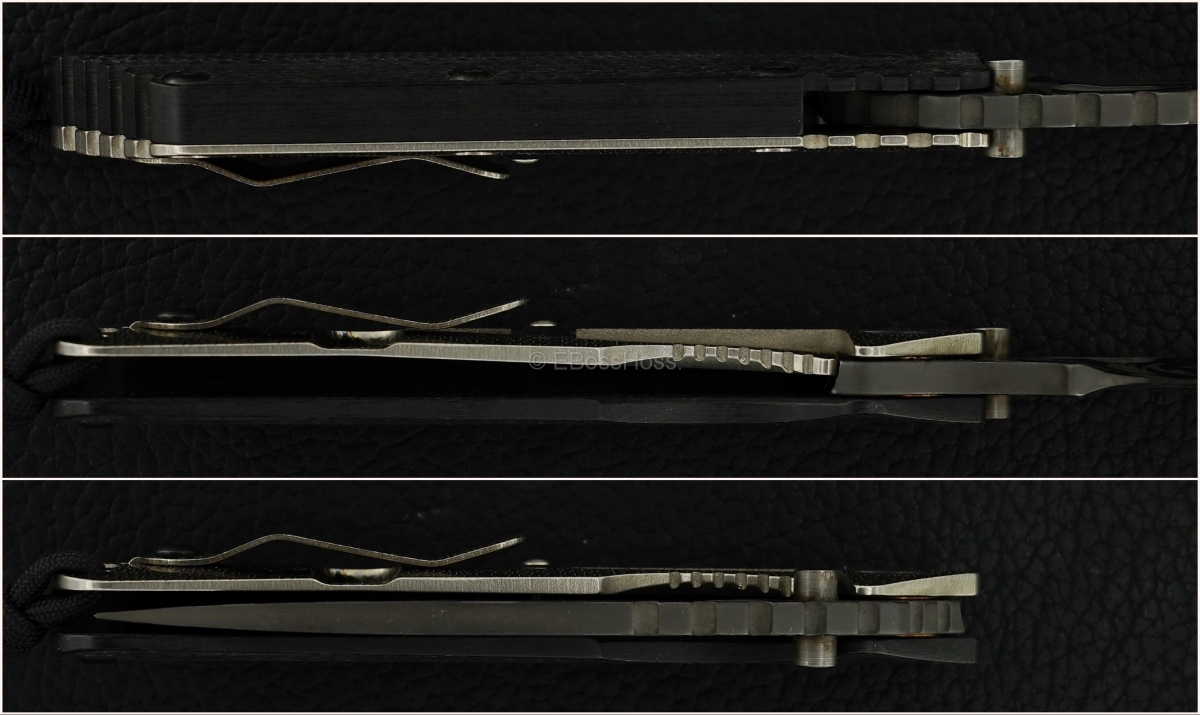 Strider / Starlingear Sabertooth SMF Collab
