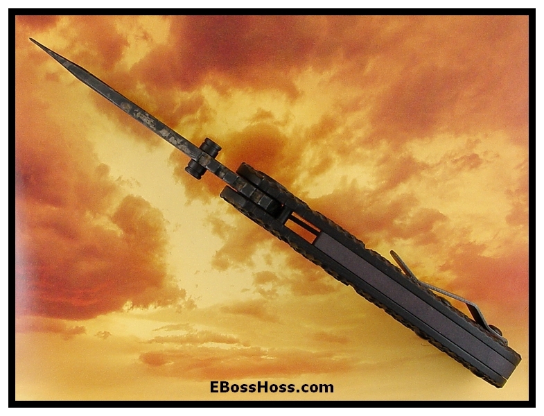 Strider Duane Dwyer Custom RCC GG -- The Crusader