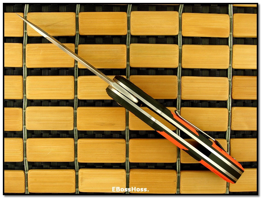 Todd Begg Clandestine Glimpse Flipper