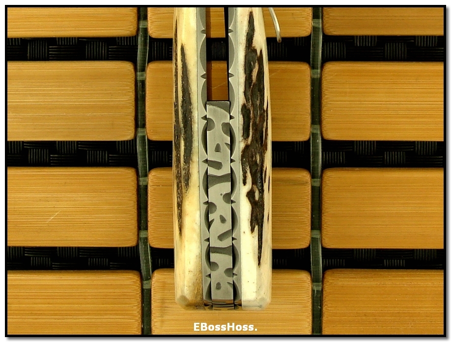 D.B. Fraley Deluxe Stag Torrent