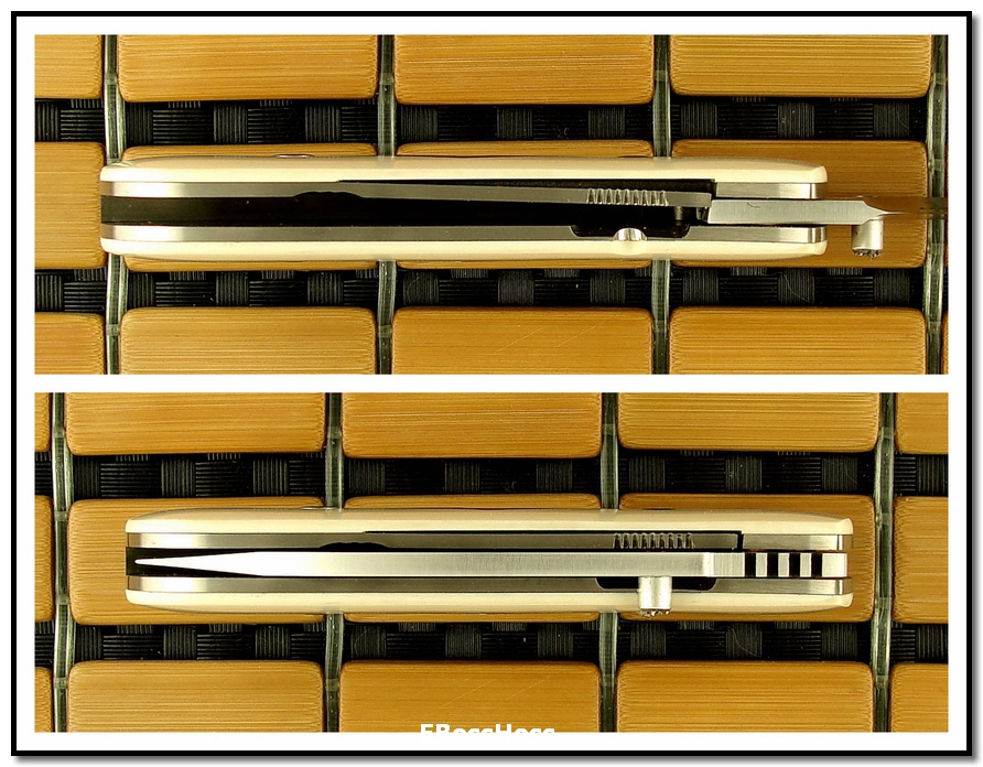 Bob Dozier Dlx. New Folding Hunter
