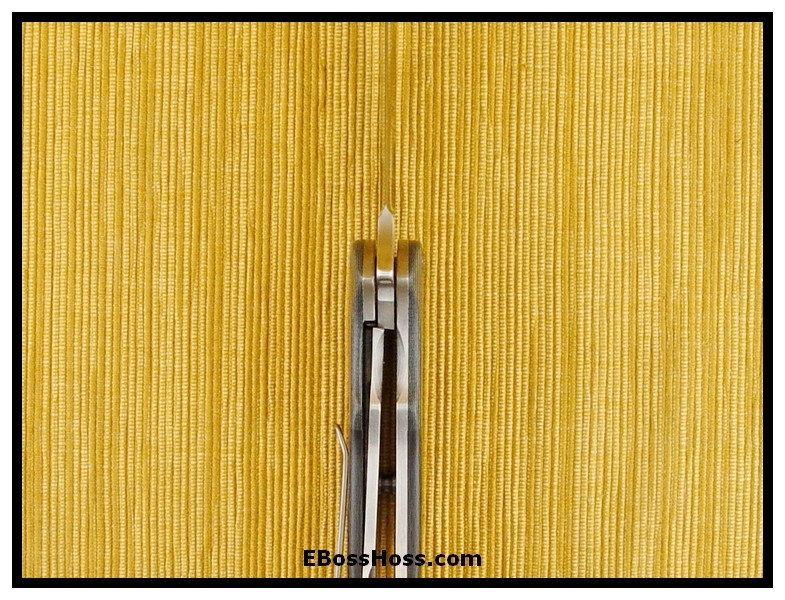 Randy Doucette Termite Flipper