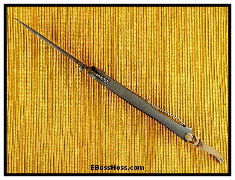 Scott Cook Deluxe Lochsa