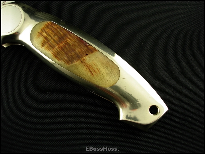Jimmy Lile Button Lock Folding Hunter