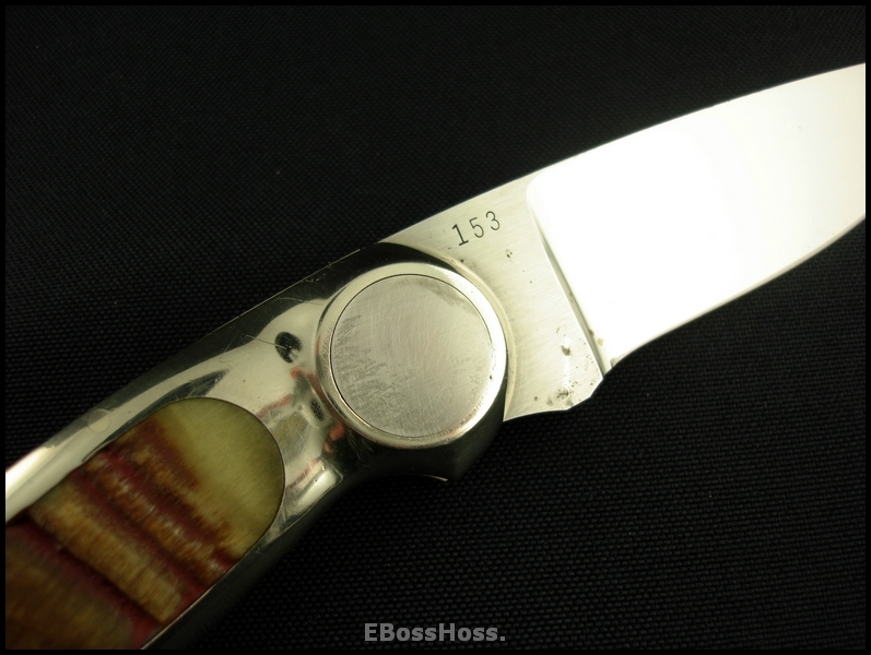 Jimmy Lile Button Lock Folding Hunter