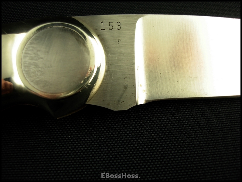 Jimmy Lile Button Lock Folding Hunter