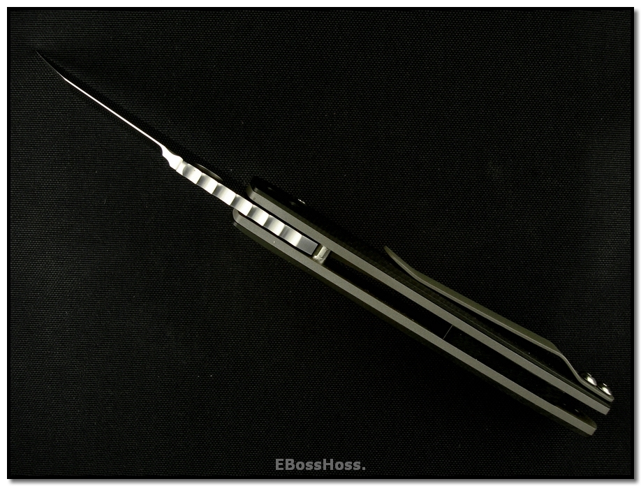 Steve Ryan Model 4