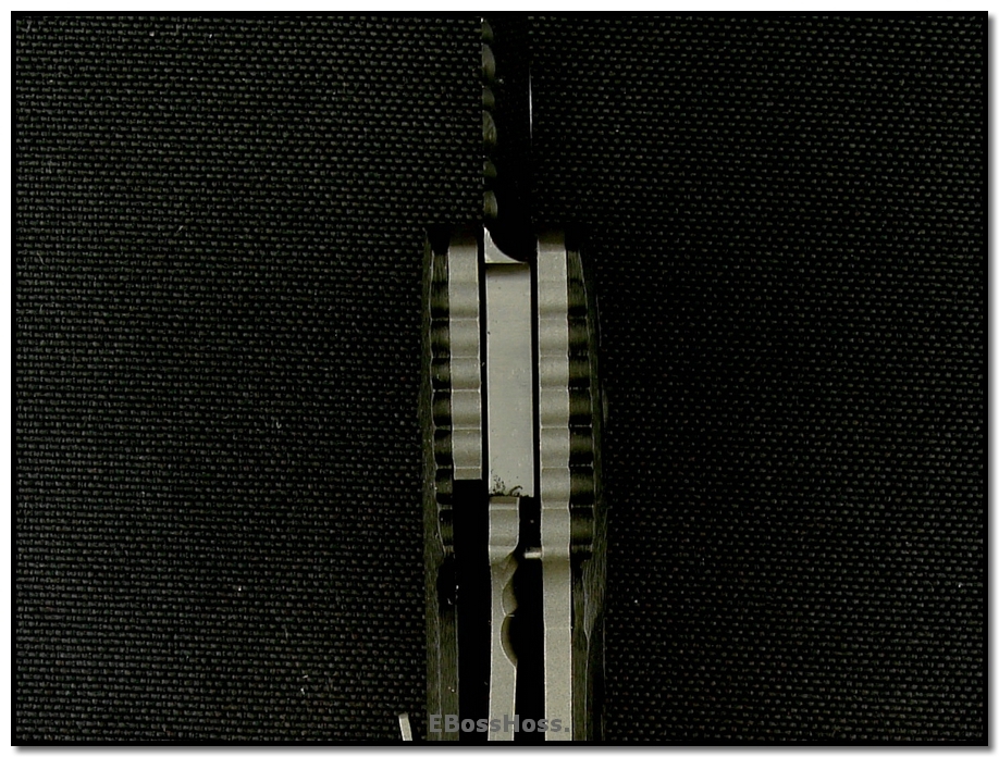 Steve Ryan Model 4