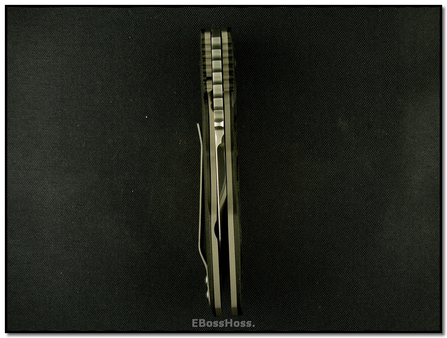 Steve Ryan Model 4