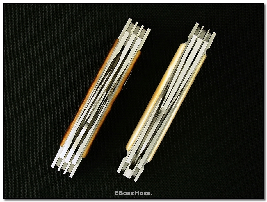 Tony Bose Multi-Blade Congresses