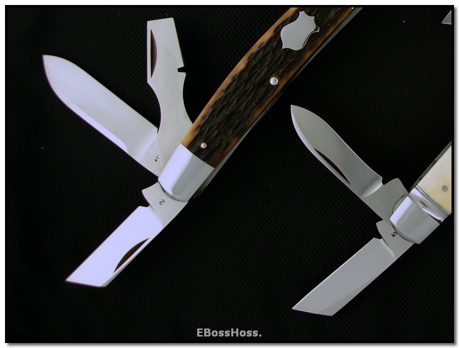 Tony Bose Multi-Blade Congresses