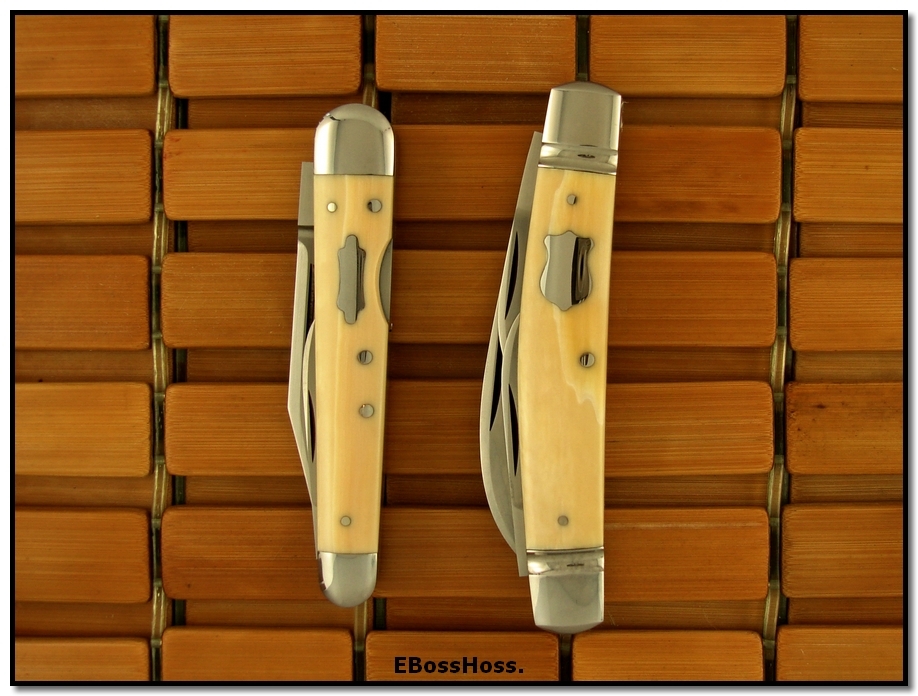 Tony Bose Ivory