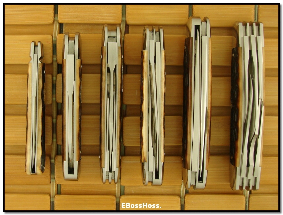 Tony Bose Remington Bone
