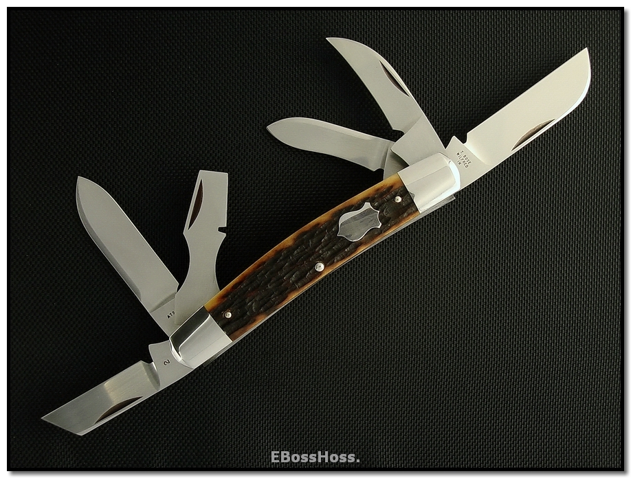 Tony Bose Remington Bone