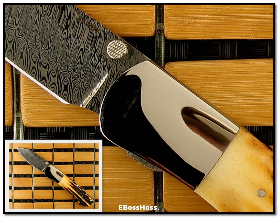 Scott Sawby Dlx. CU - Stag / Stainless Damascus
