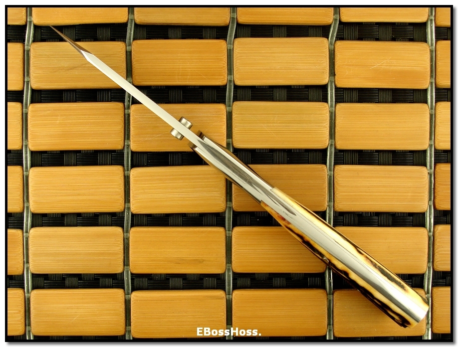 Scott Sawby Dlx. CU - Stag / Stainless Damascus