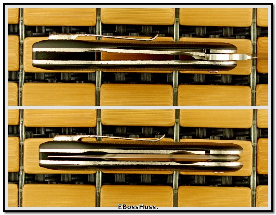 Begg Gent's Glimpse Flipper