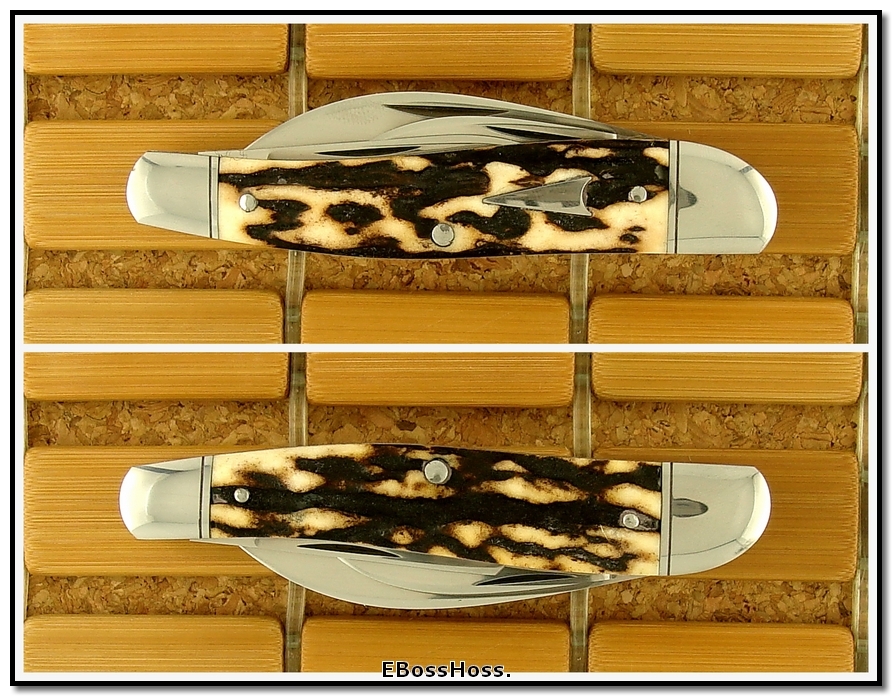 Joel Chamblin 5-Blade Stag Rodgers