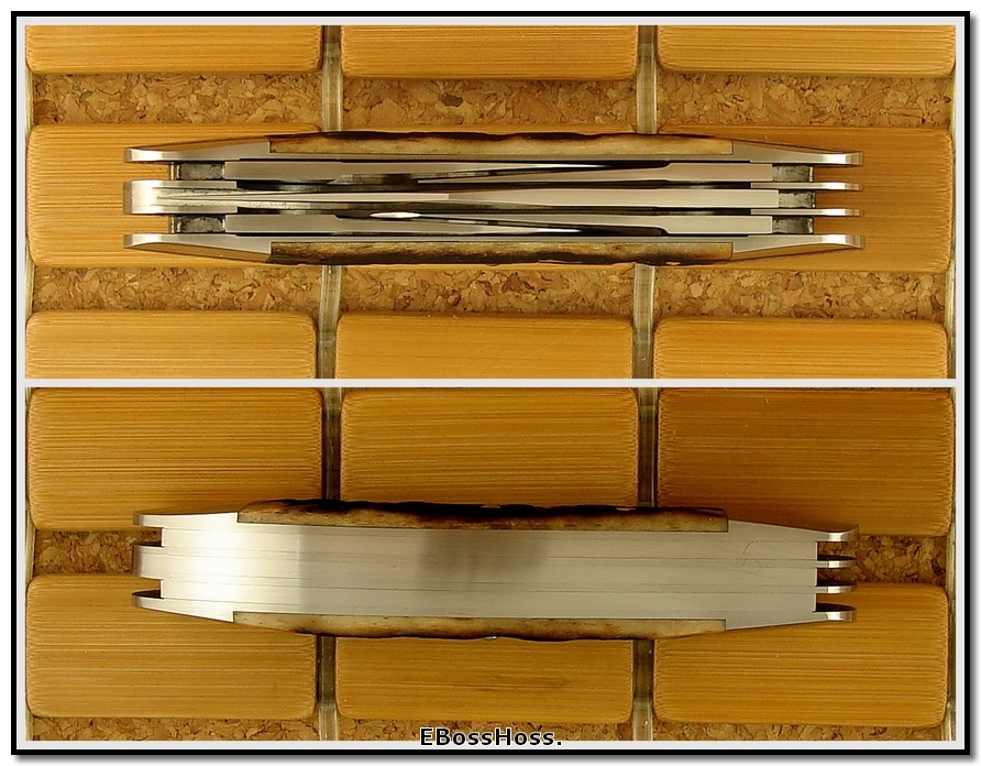 Shadley 5 Blade Dlx. Sowbelly