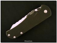  Hayes Dragon Folder