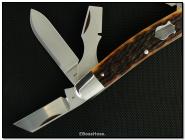 Tony Bose 6-Blade Congress Remington Bone