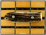 Bob Dozier Dlx. Folding Hunter - Stag