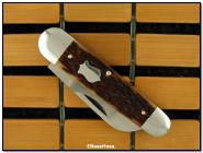 Tony Bose Remington Bone